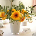 酒店 Arthotel Mare 沙博伊茨