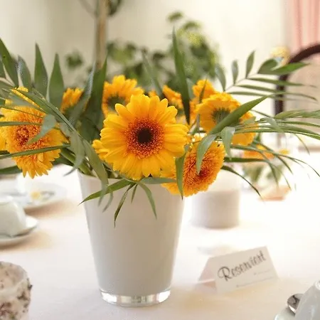 Hotell Arthotel Mare Scharbeutz