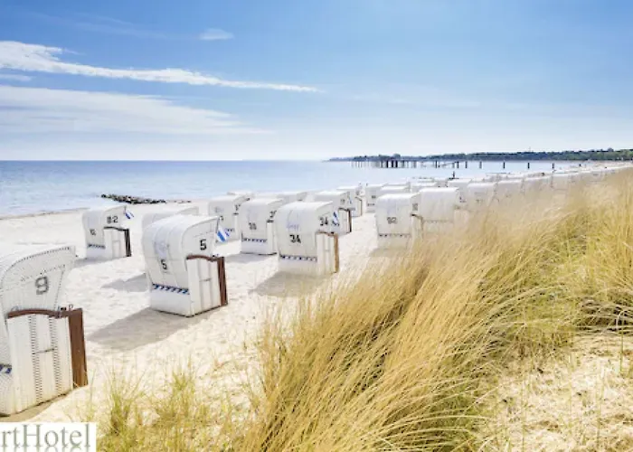 Отель Arthotel Mare