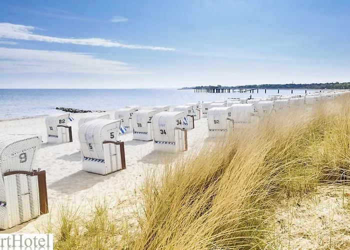 Arthotel Mare Отель