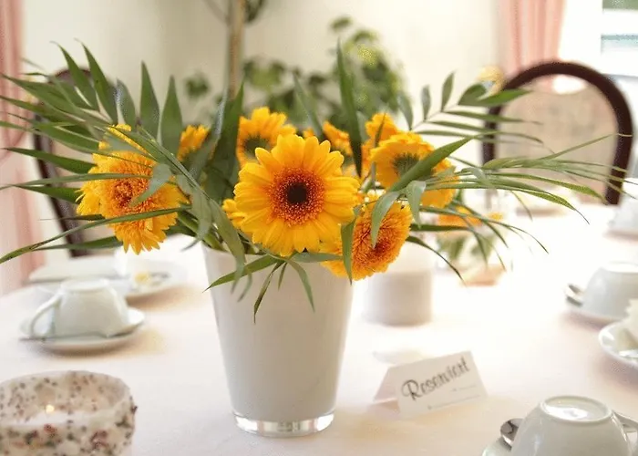 Отель Arthotel Mare Шарбойц